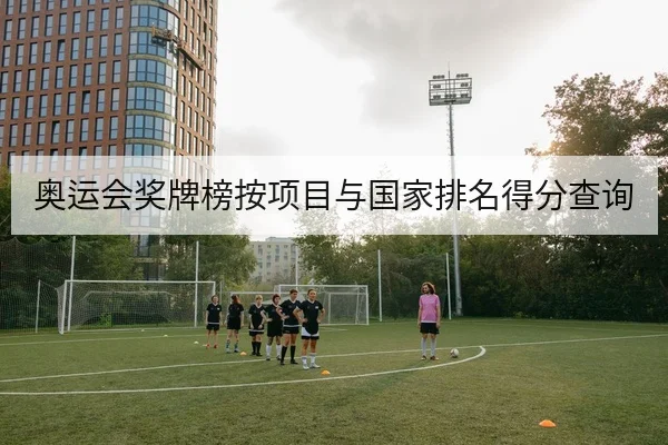奥运会奖牌榜按项目与国家排名得分查询